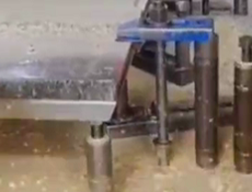 ���ͳ�����ҵ�ֳ�